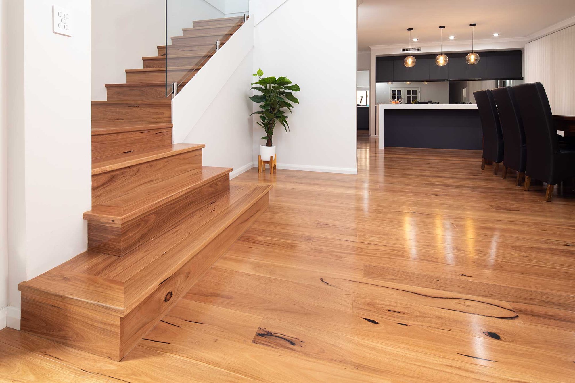 16333_Mathew_Coastal_Blackbutt_180_06