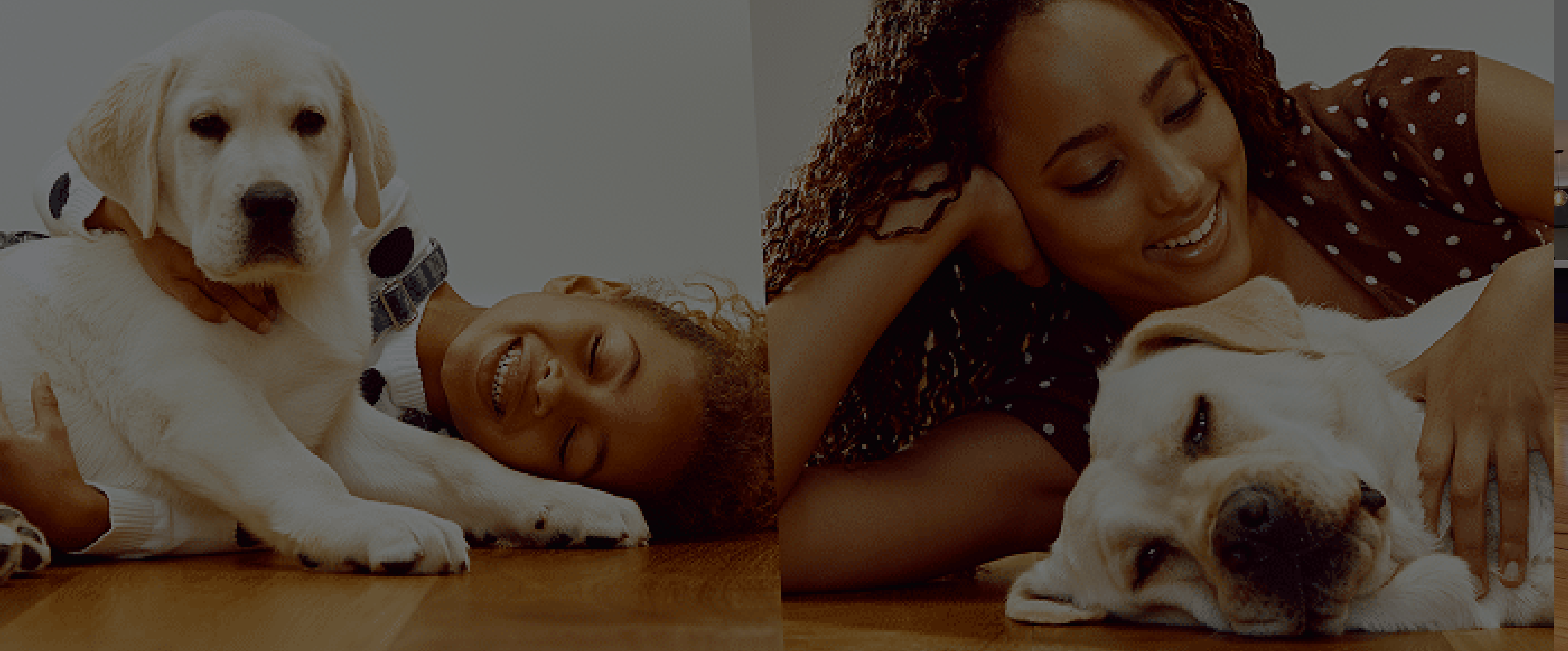 Pet friendly flooring that stays beautiful for life