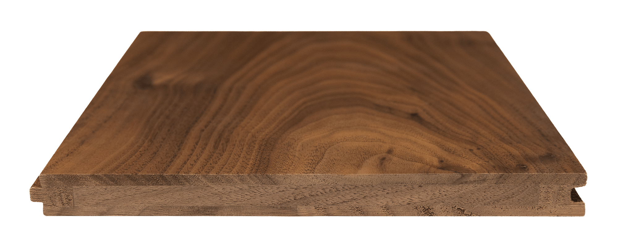 American_Black_Walnut_130 (1)