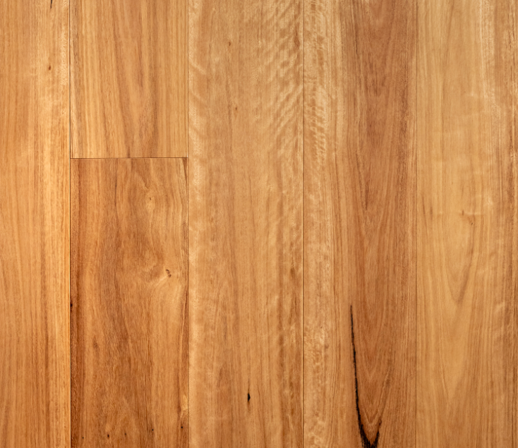 Blackbutt_180_02