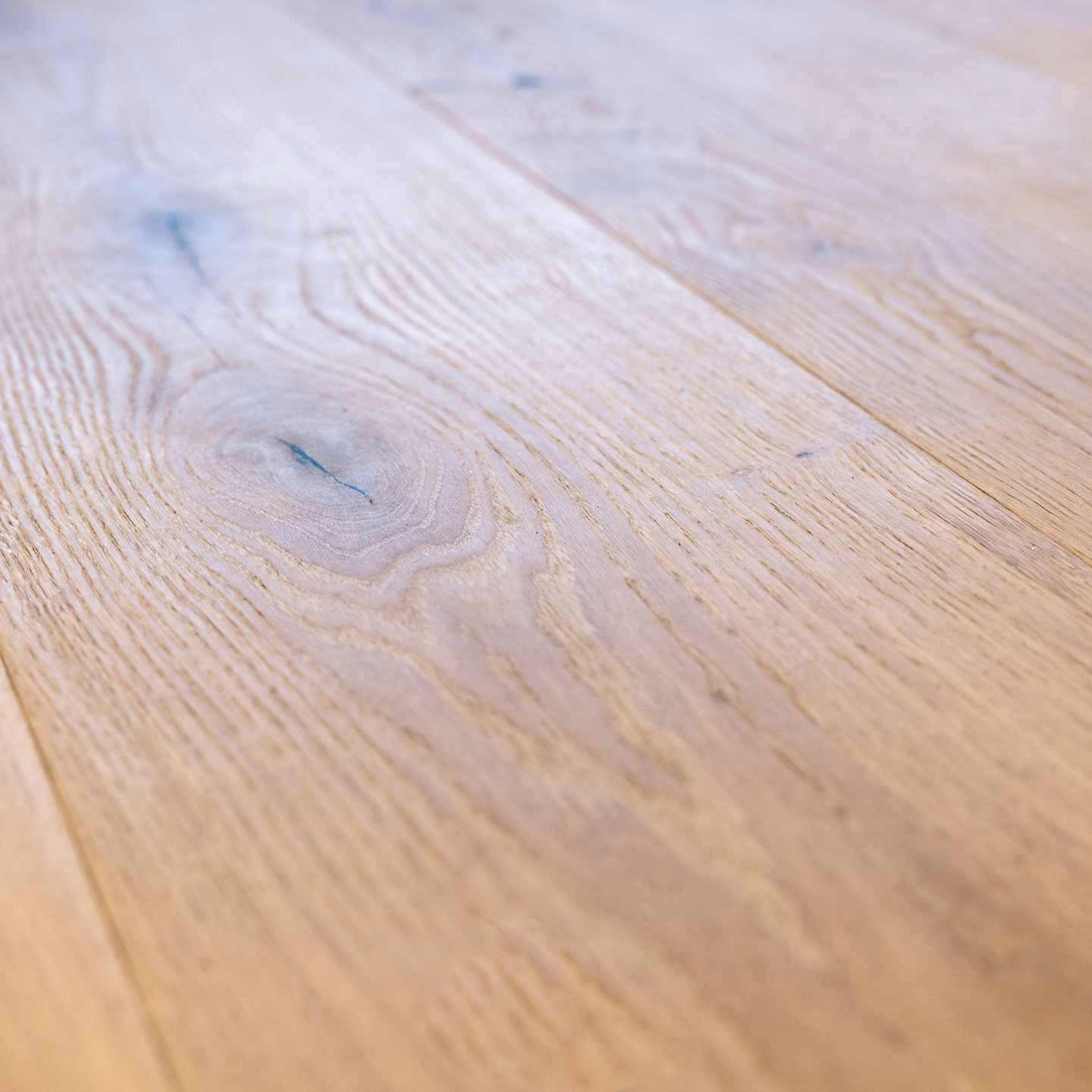 Classic_Oak_closeup_02 Classic_Oak_closeup_02