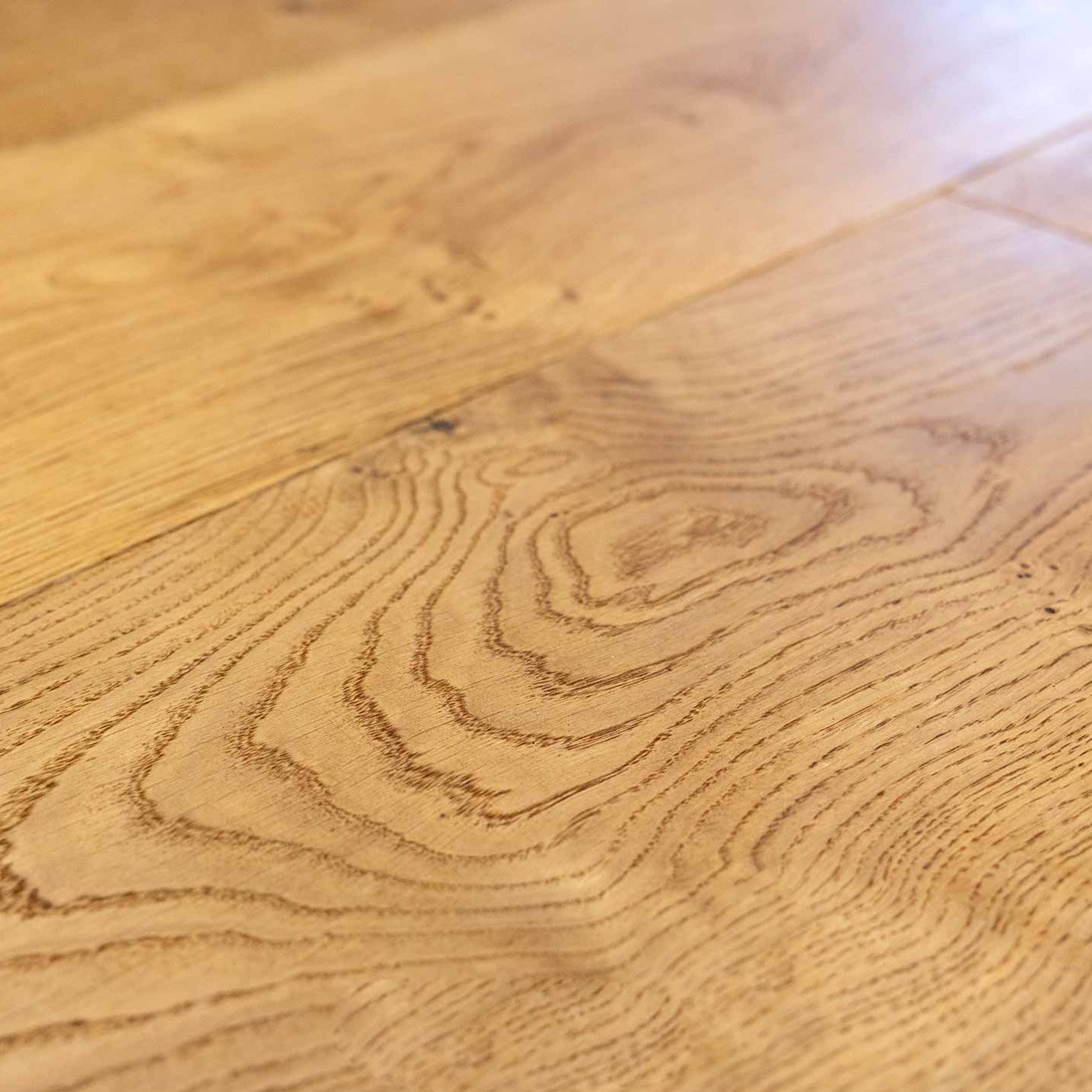 English_Oak_closeup_01 (1)-1