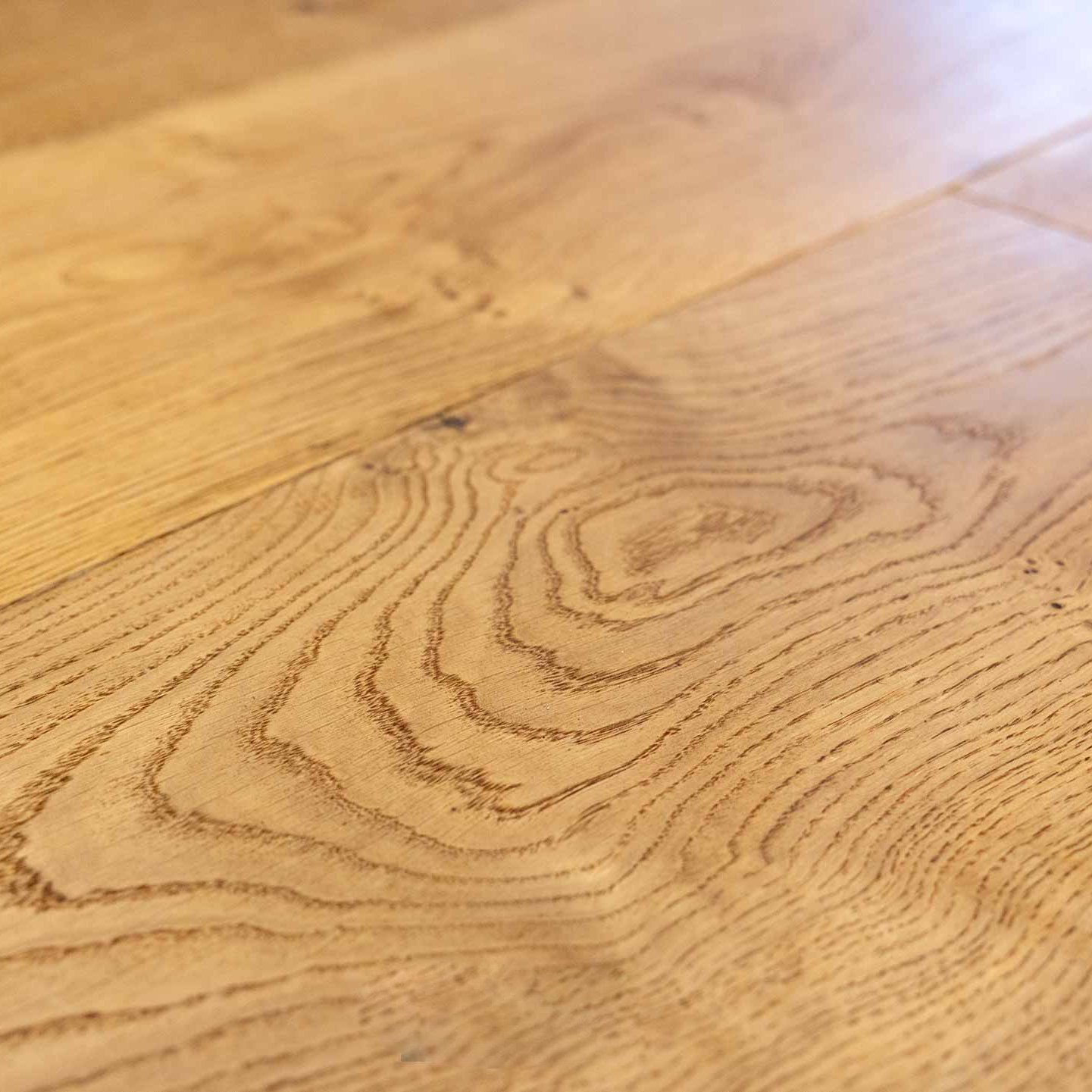 English_Oak_closeup_01 English_Oak_closeup_01