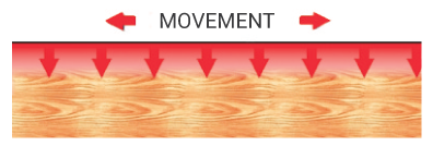 Movement-1 Movement-1