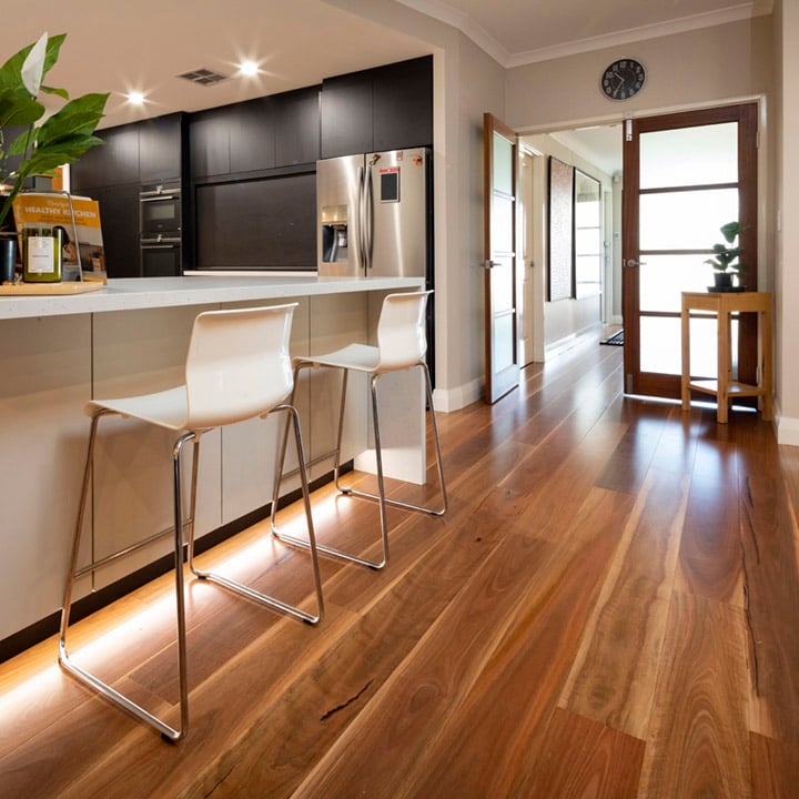 Spotted Gum