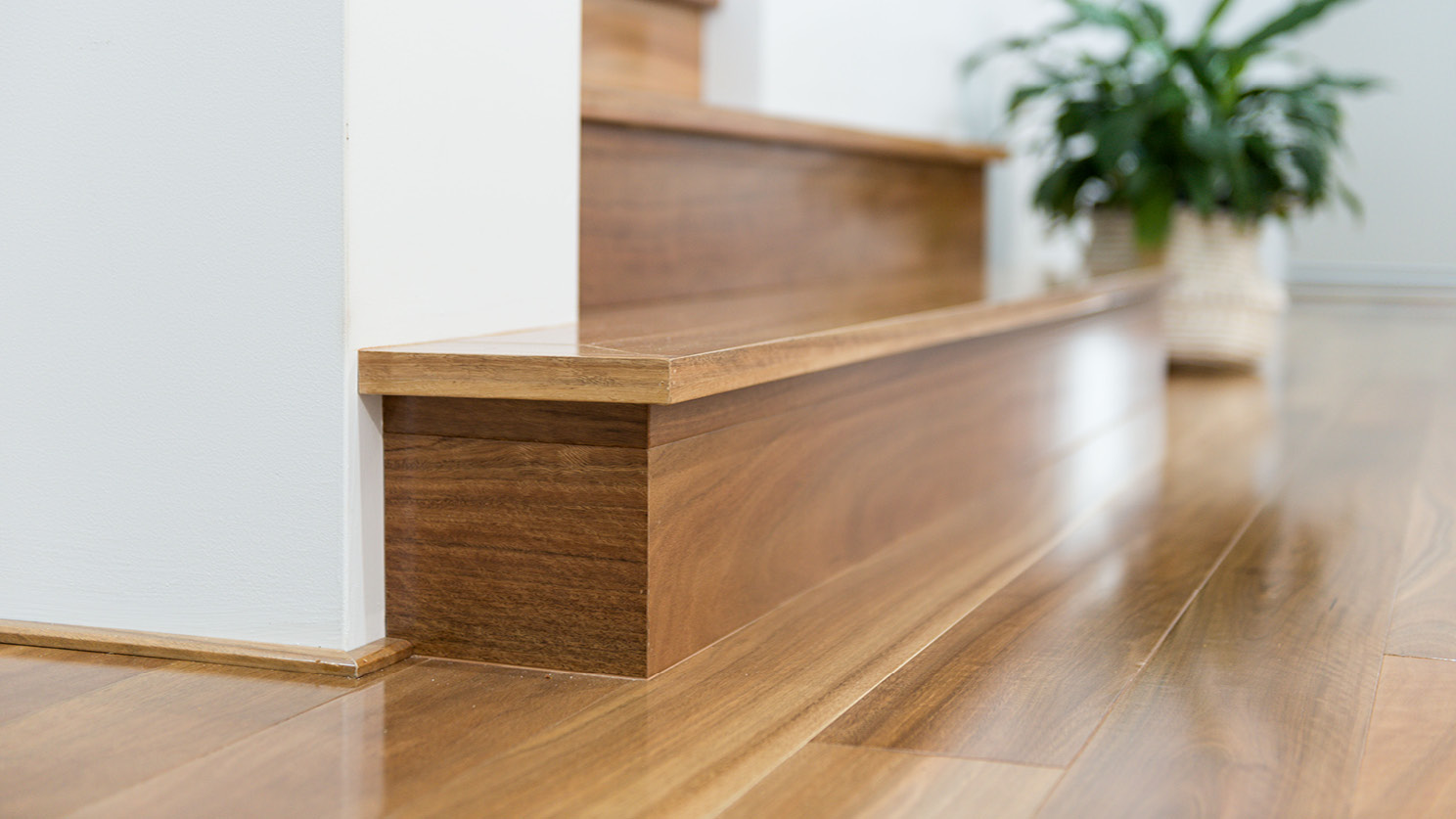 Spotted-Gum-flooring-12