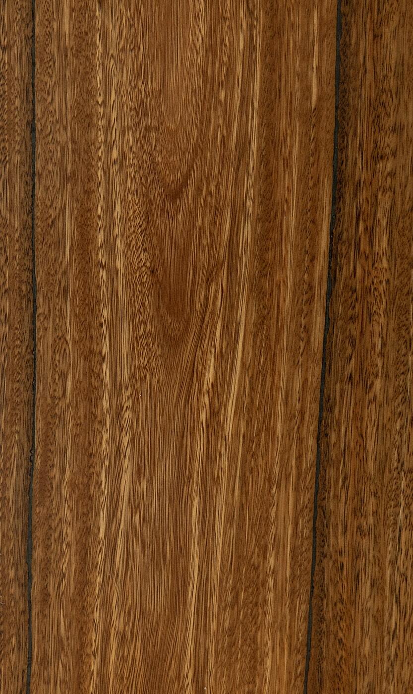 Spotted-Gum Spotted-Gum