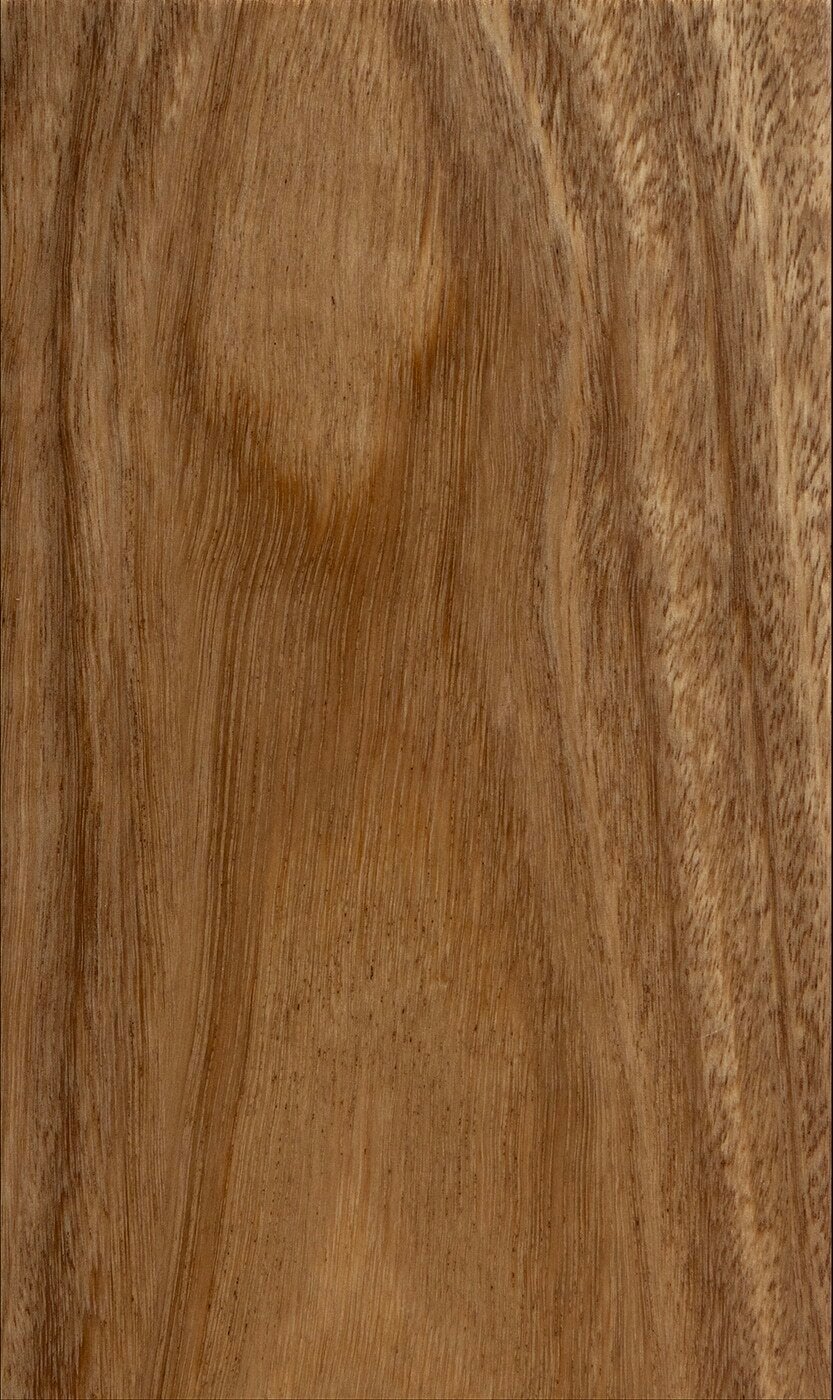 Tallowwood Tallowwood