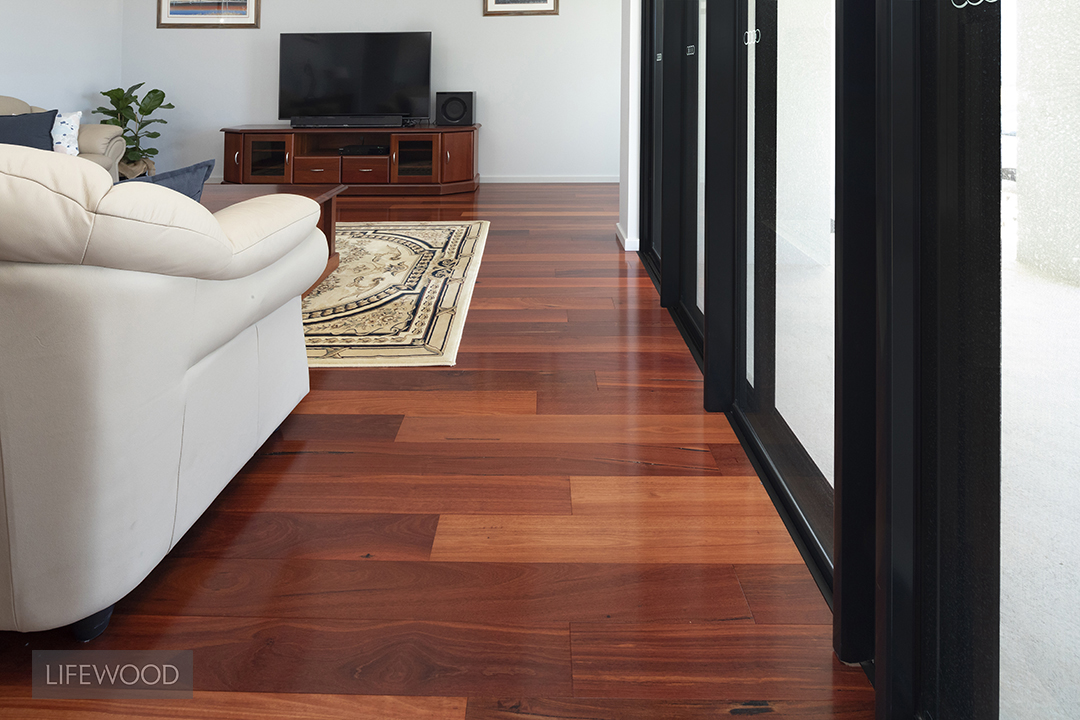 16108_Jarrah_130 (3) - Copy