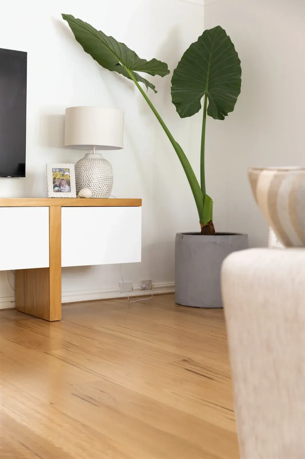 16520_Lush_Blackbutt_180_33