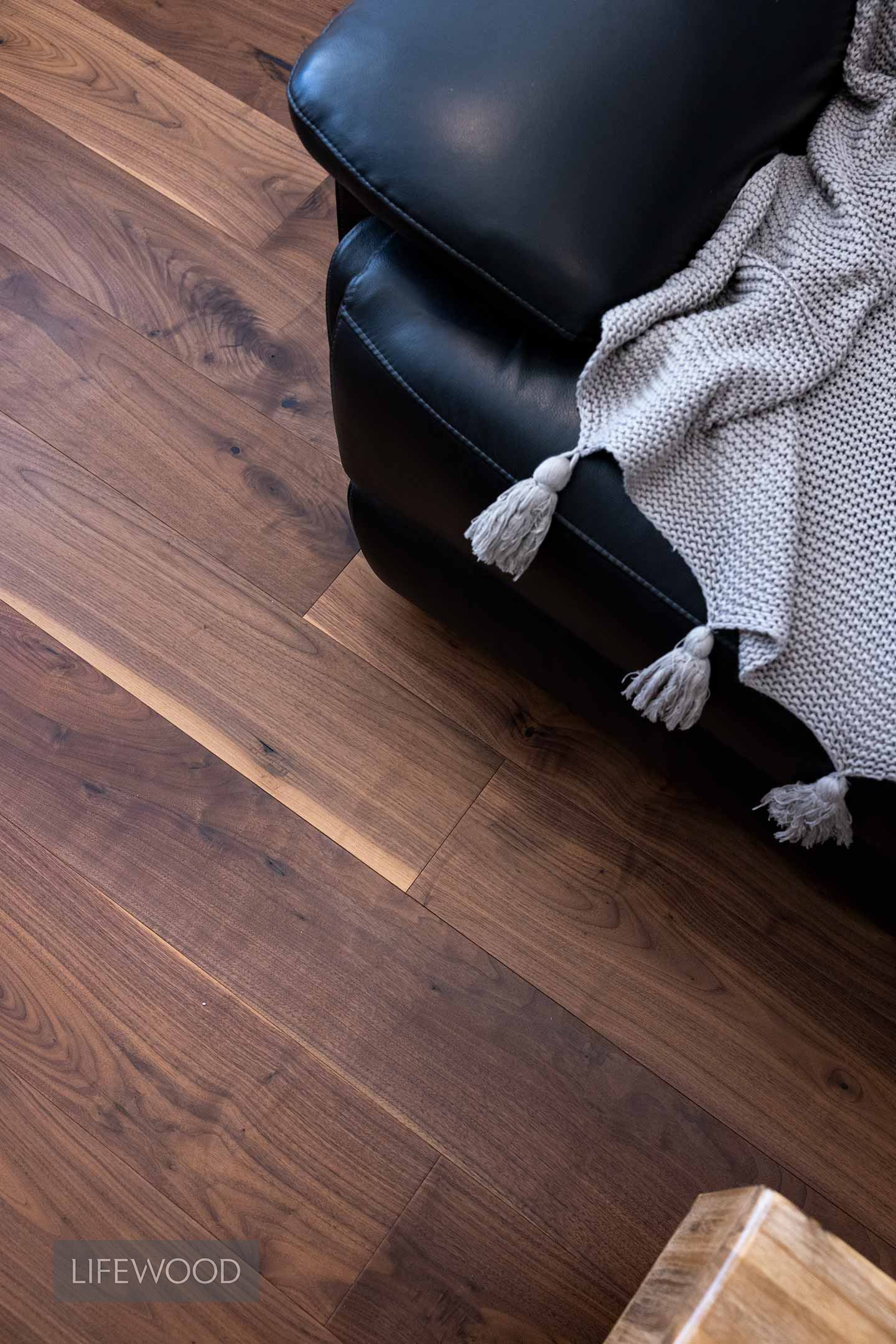 American Black Walnut