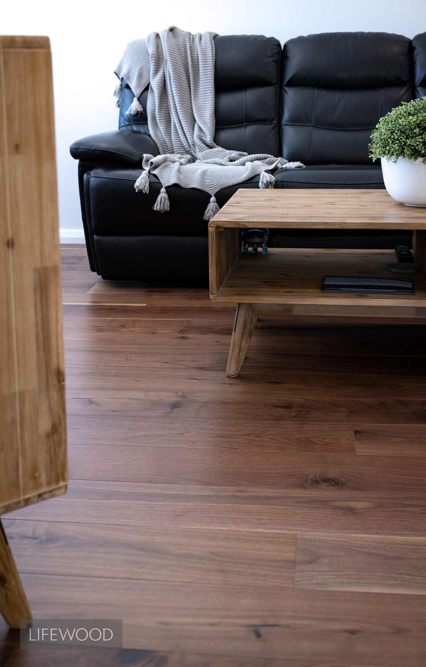 American Black Walnut