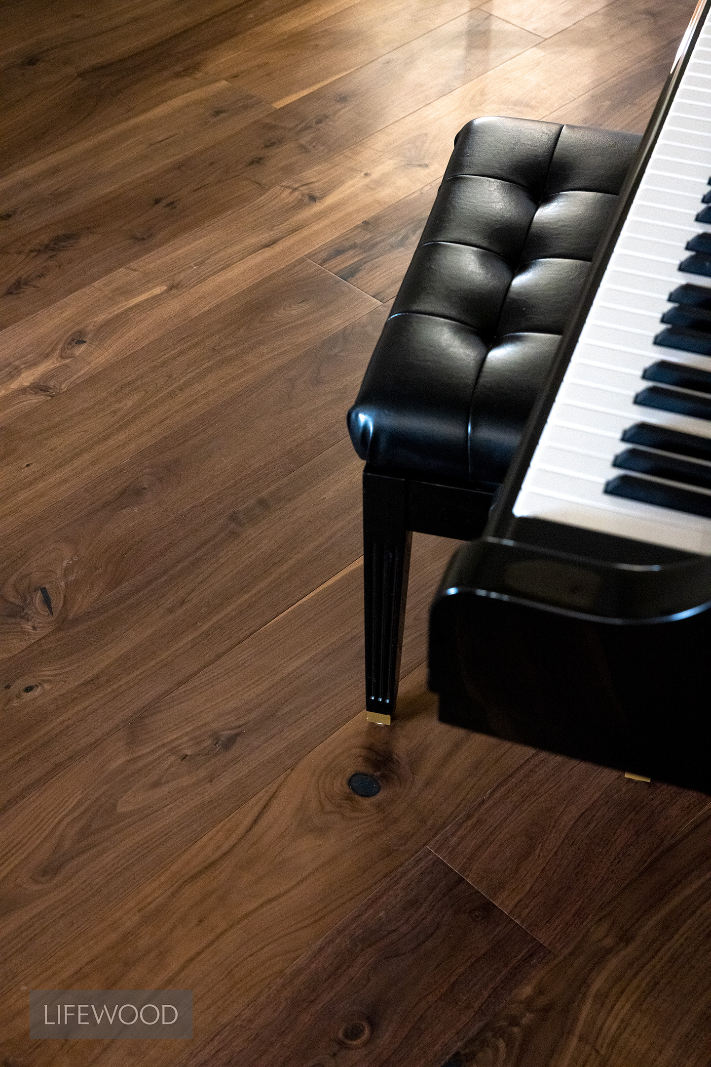 American Black Walnut