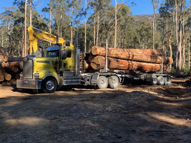 Logging truck loaded with hardwood logs from regulated farm forestry