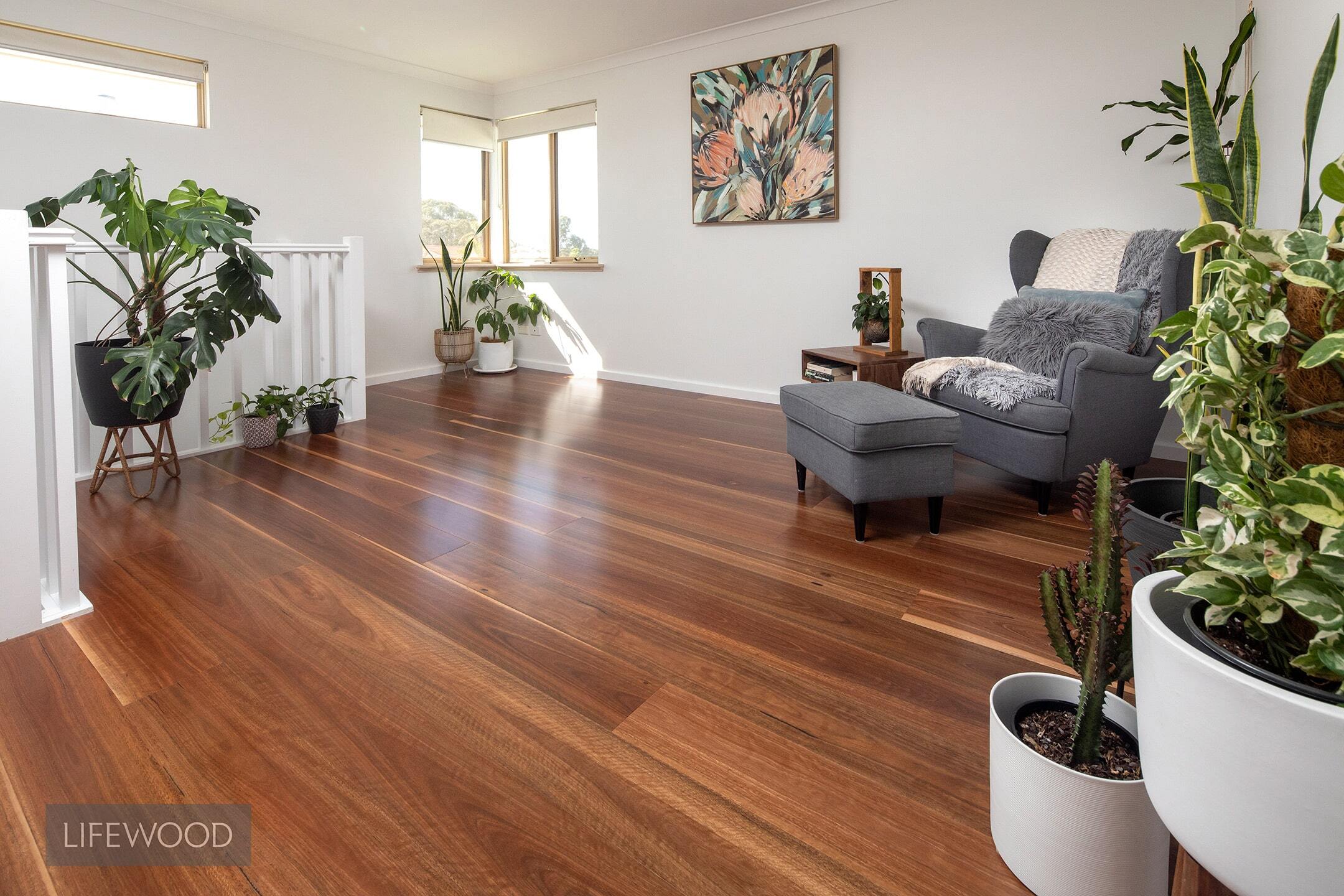 17452_Simmonds_Spotted_Gum_180_11-1-1