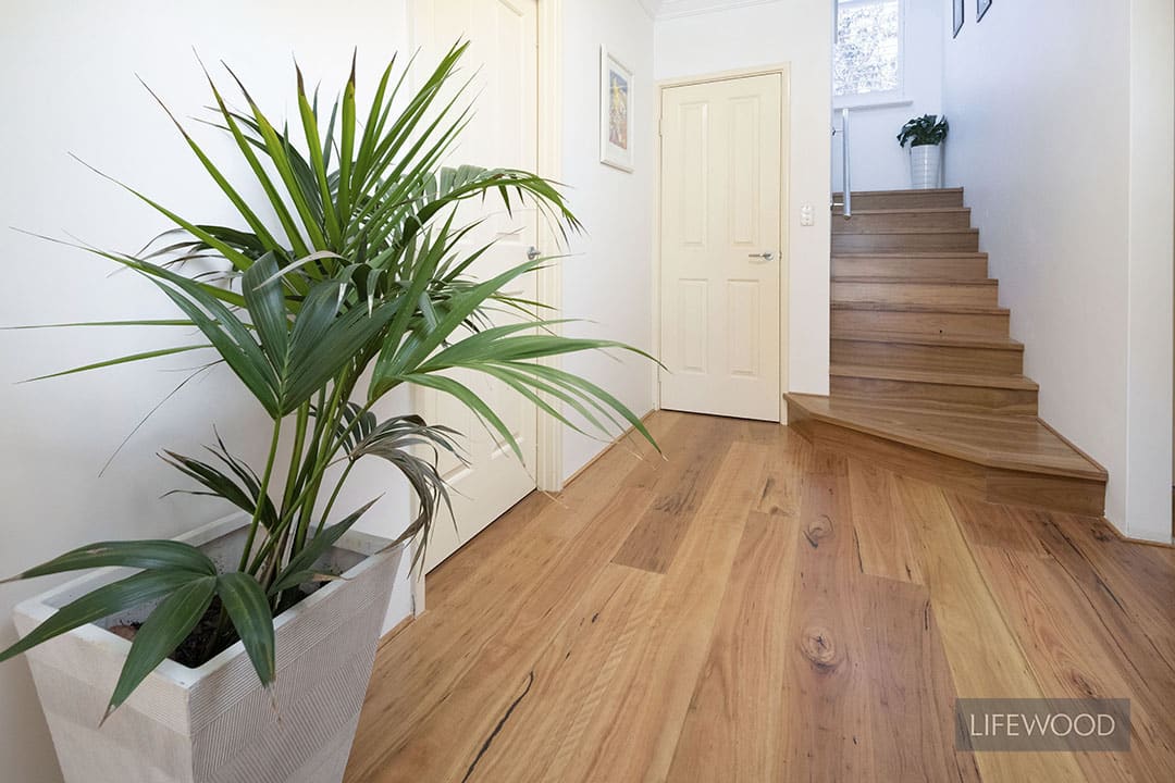 Blackbutt Timber Flooring