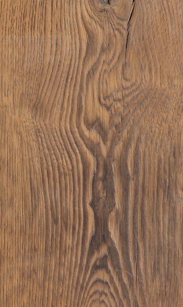 Shipwreck-Oak