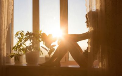 Can Sunlight Damage TImber Floor?