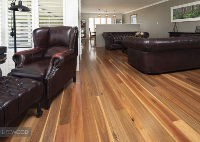 Spotted Gum Rosam Flooring Living