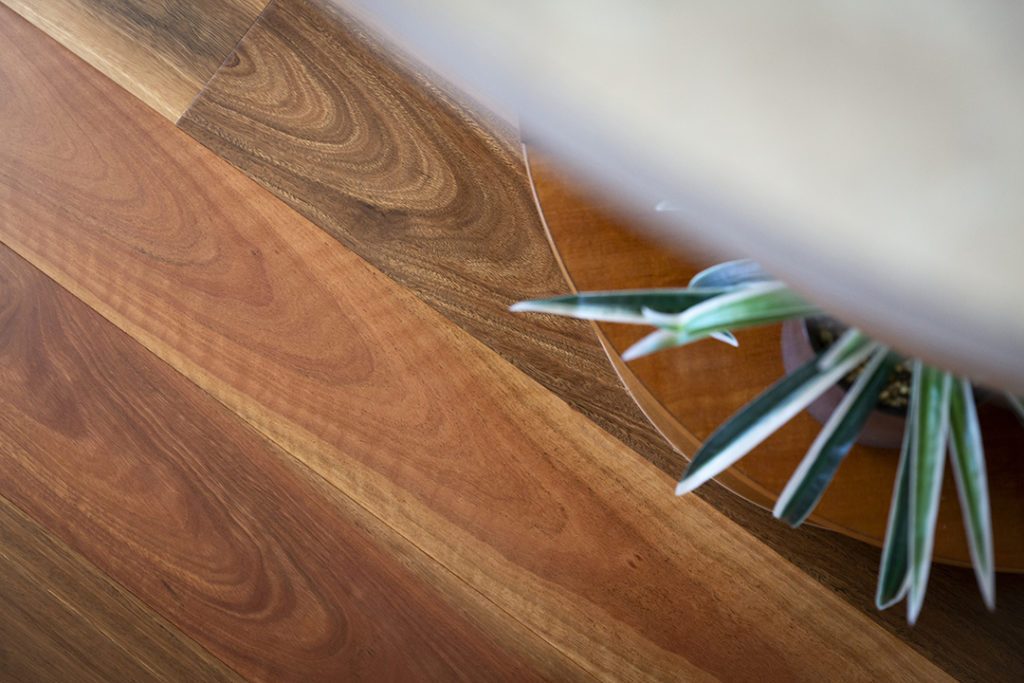 Spotted Gum Flooring Discover A Popular Timber Flooring Choice