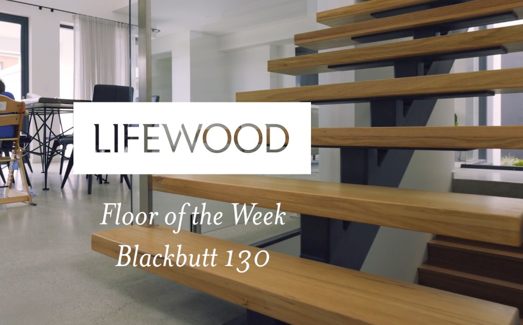 Blackbutt Timber Flooring & Solid Tread Staircase
