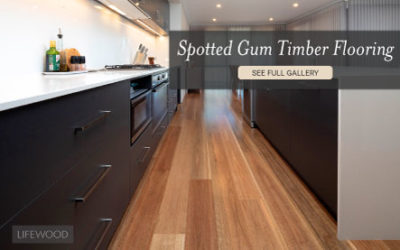 Spotted Gum Flooring Enriches New Home