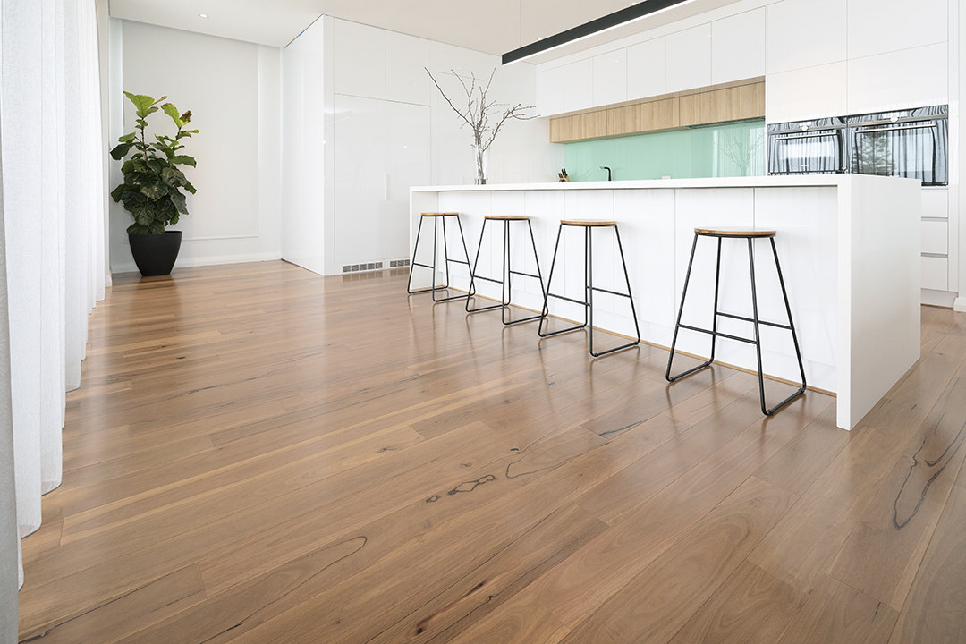 Blackbutt Floor in Kitchen