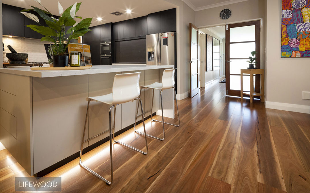 Spotted Gum Renovation