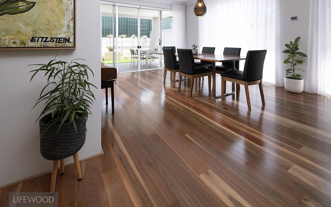 Spotted Gum 130