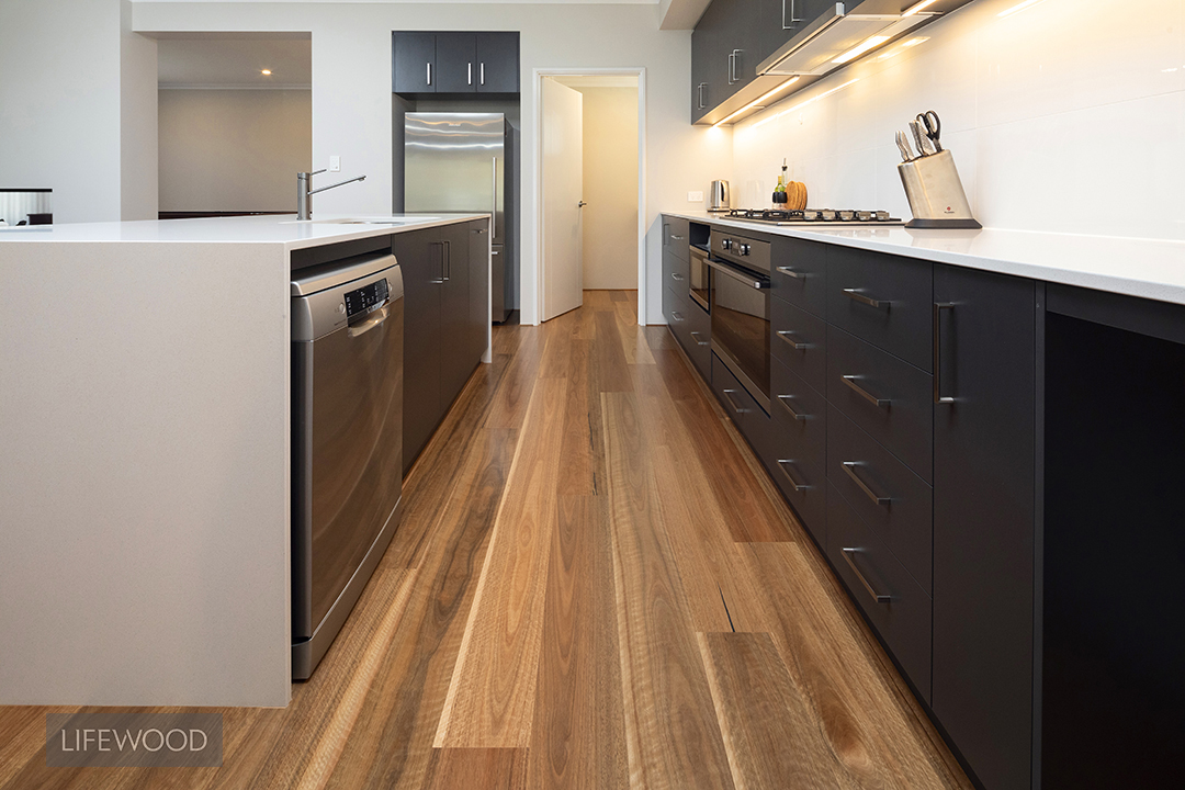 Spotted Gum 130 Lifewood