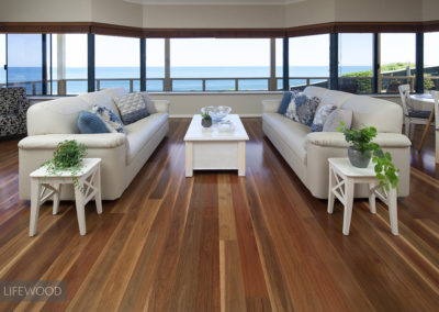 Spotted Gum Living room Big