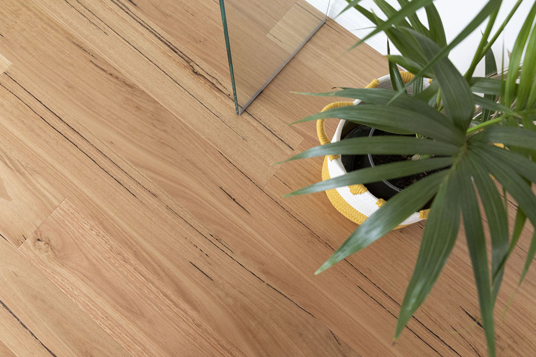 Blackbutt Flooring Details