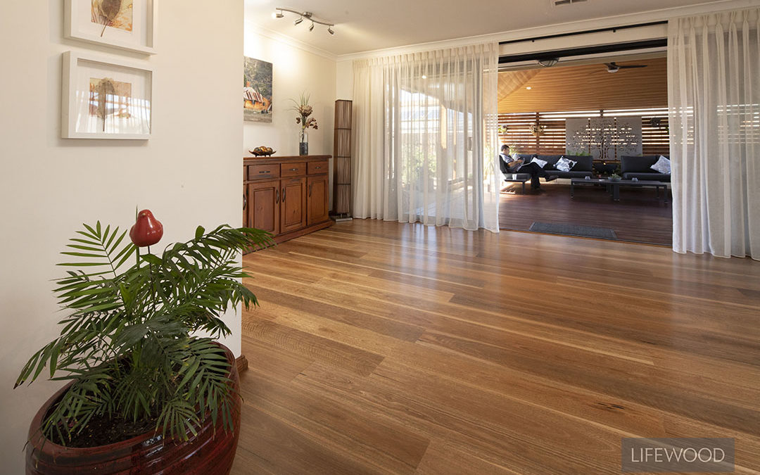 Create a warm and welcoming home with Spotted Gum