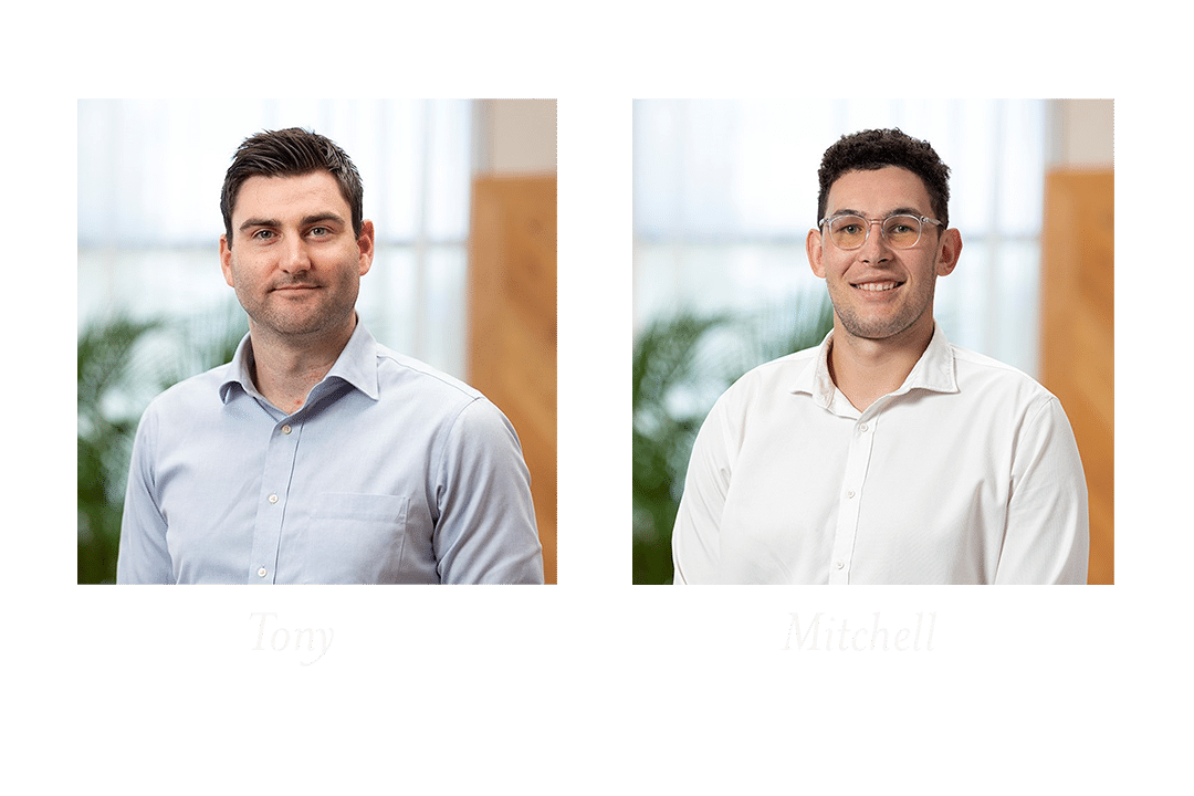 Consultants Website 2
