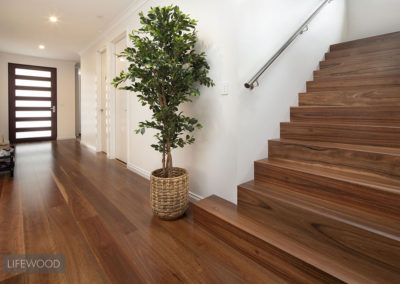 Spotted Gum Staircase