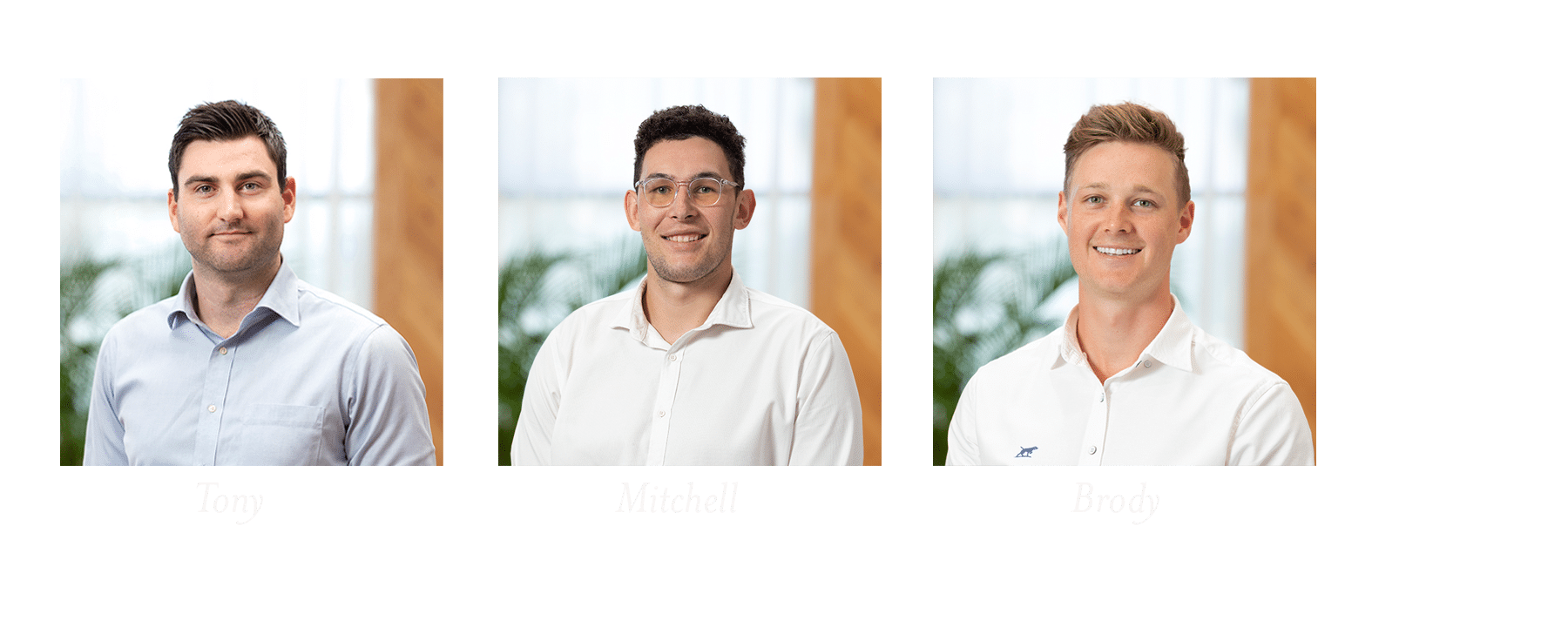 Consultants Website 3