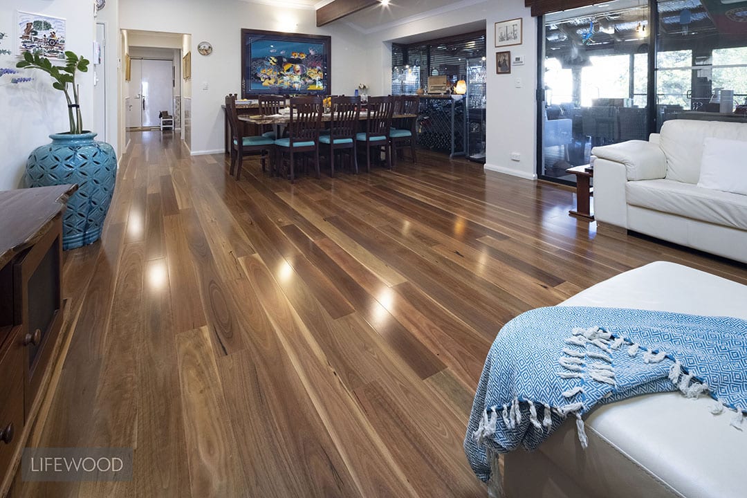 Rejuvenate your home with Beautiful Spotted Gum - Lifewood