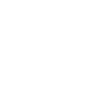 Five Icon