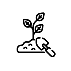 Icon Replant