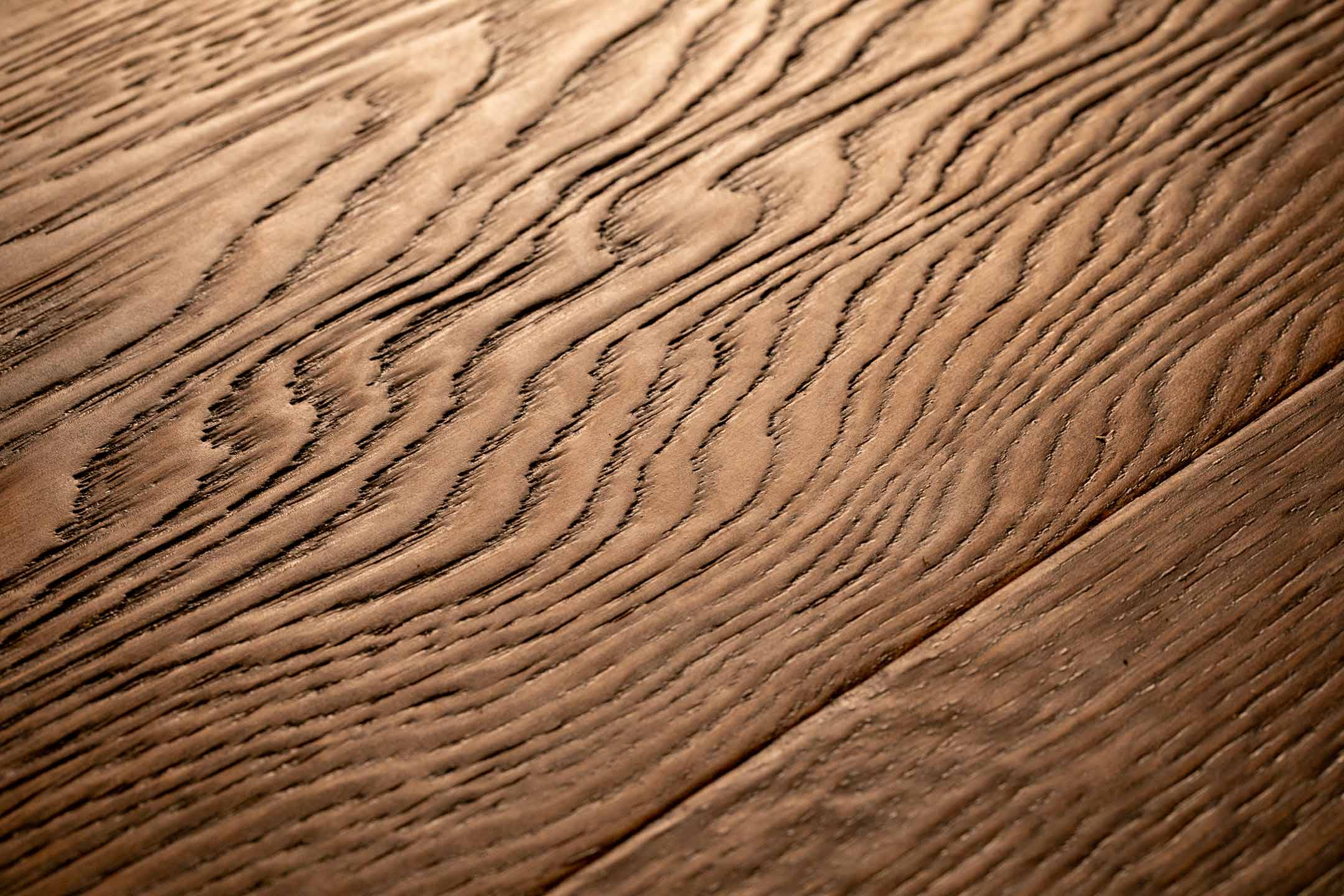 Shipwreck_Oak_Closeup
