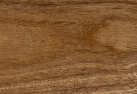 TALLOW WOOD